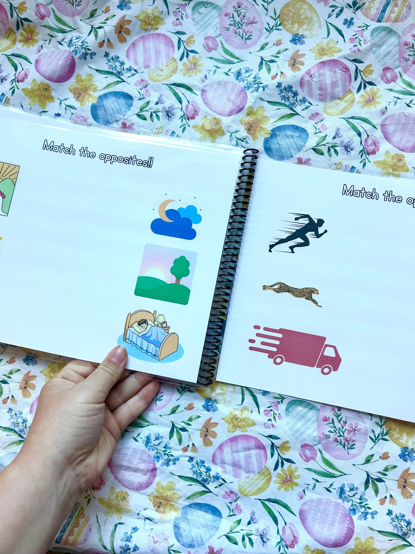 PreK, K, 1st, and 3rd Bundle- Digital