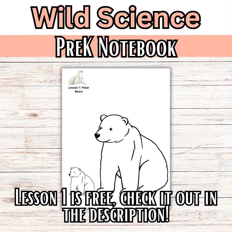 Wild Science: Elementary Science Curriculum: Activity Book 2