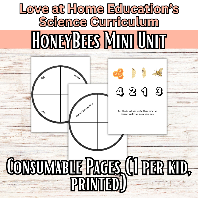 Honeybee Mini Unit Study: K-4th Grade (Love at Home Education's Science Curriculum)