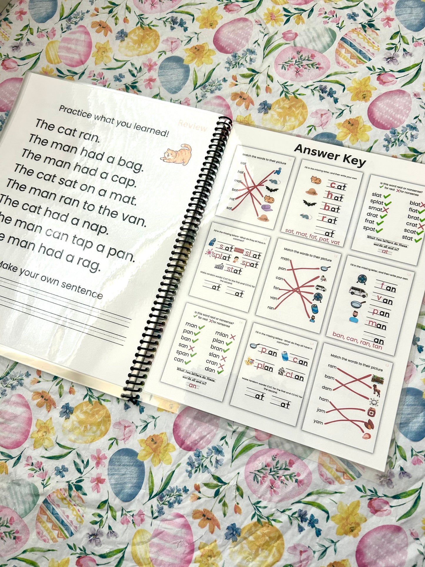 Read and Rhyme: Short a (Vowel CVC Practice)
