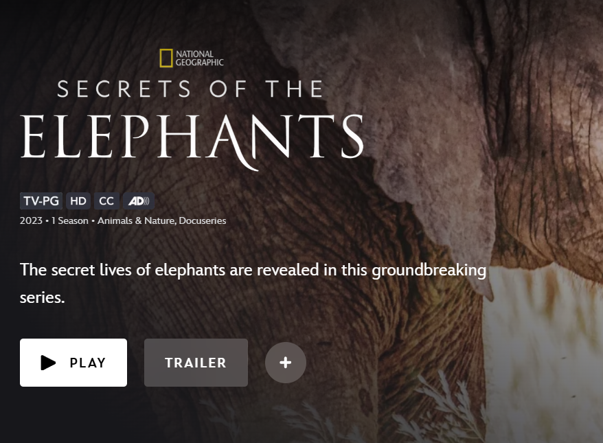 Mini Science Unit: Elephants (Secrets of the Elephants)