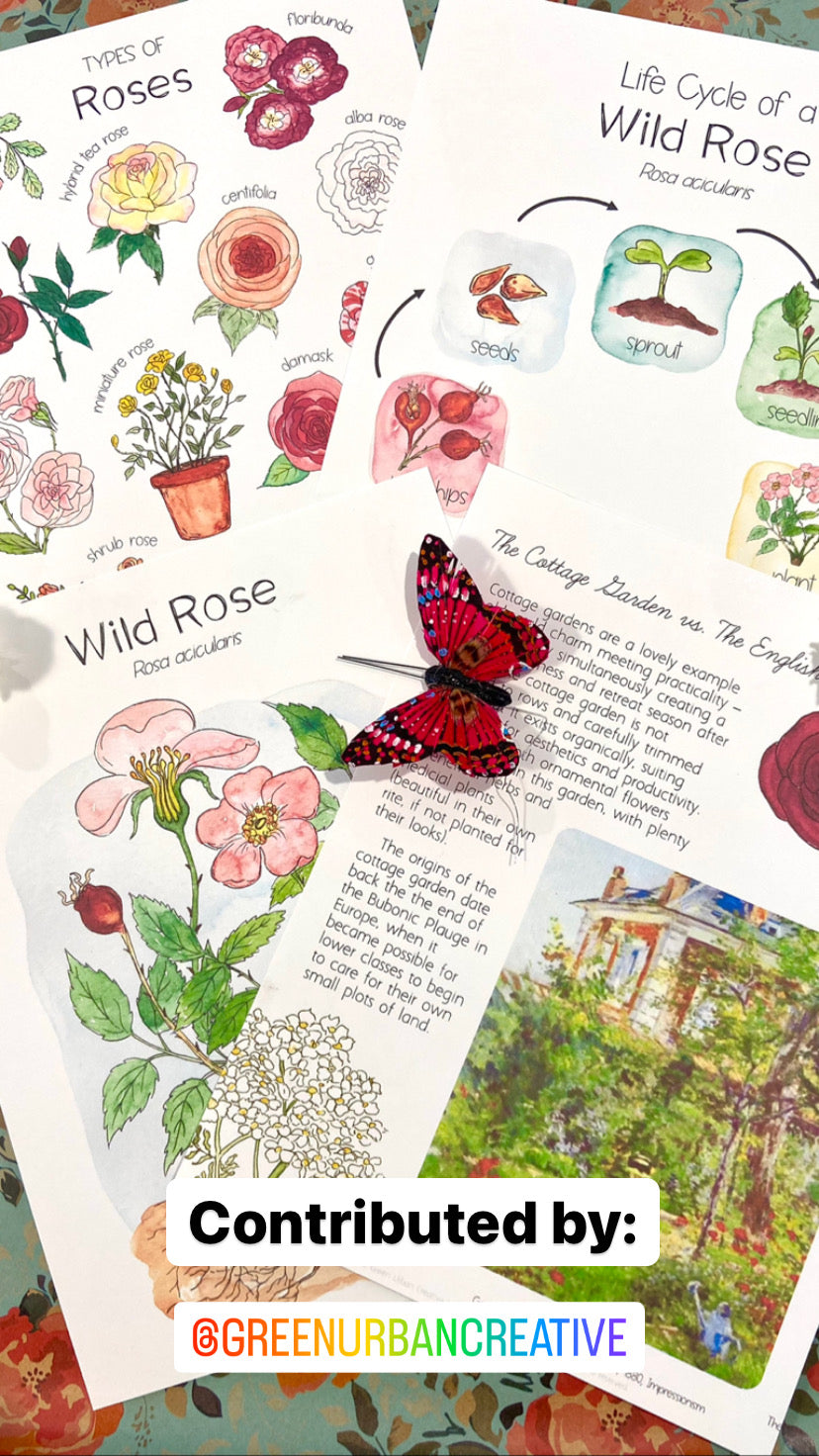 Gardenschooling Edition (The Ultimate Unit Study) (Grades PreK-6) Based on the Secret Garden by Frances Hodgson Burnett