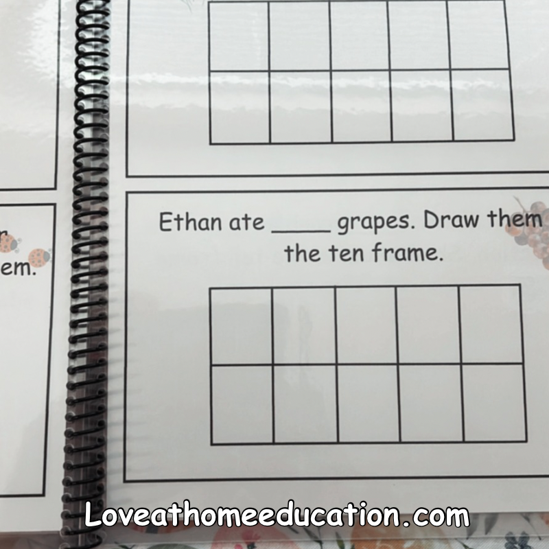 Roll & Solve: Reusable Math Book- PreK-1st Grade Level 1