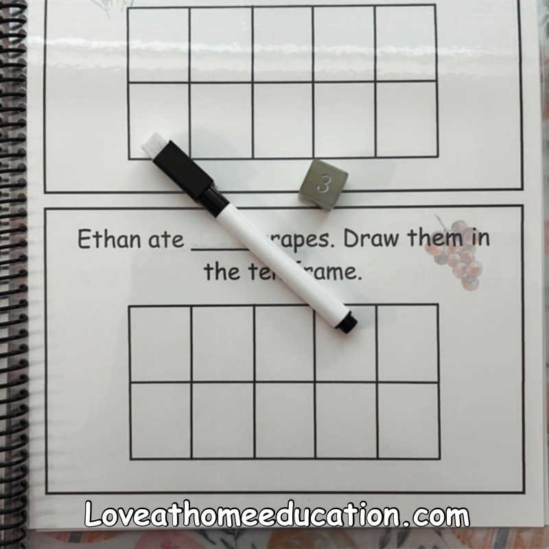 Roll & Solve: Reusable Math Book- PreK-1st Grade Level 1