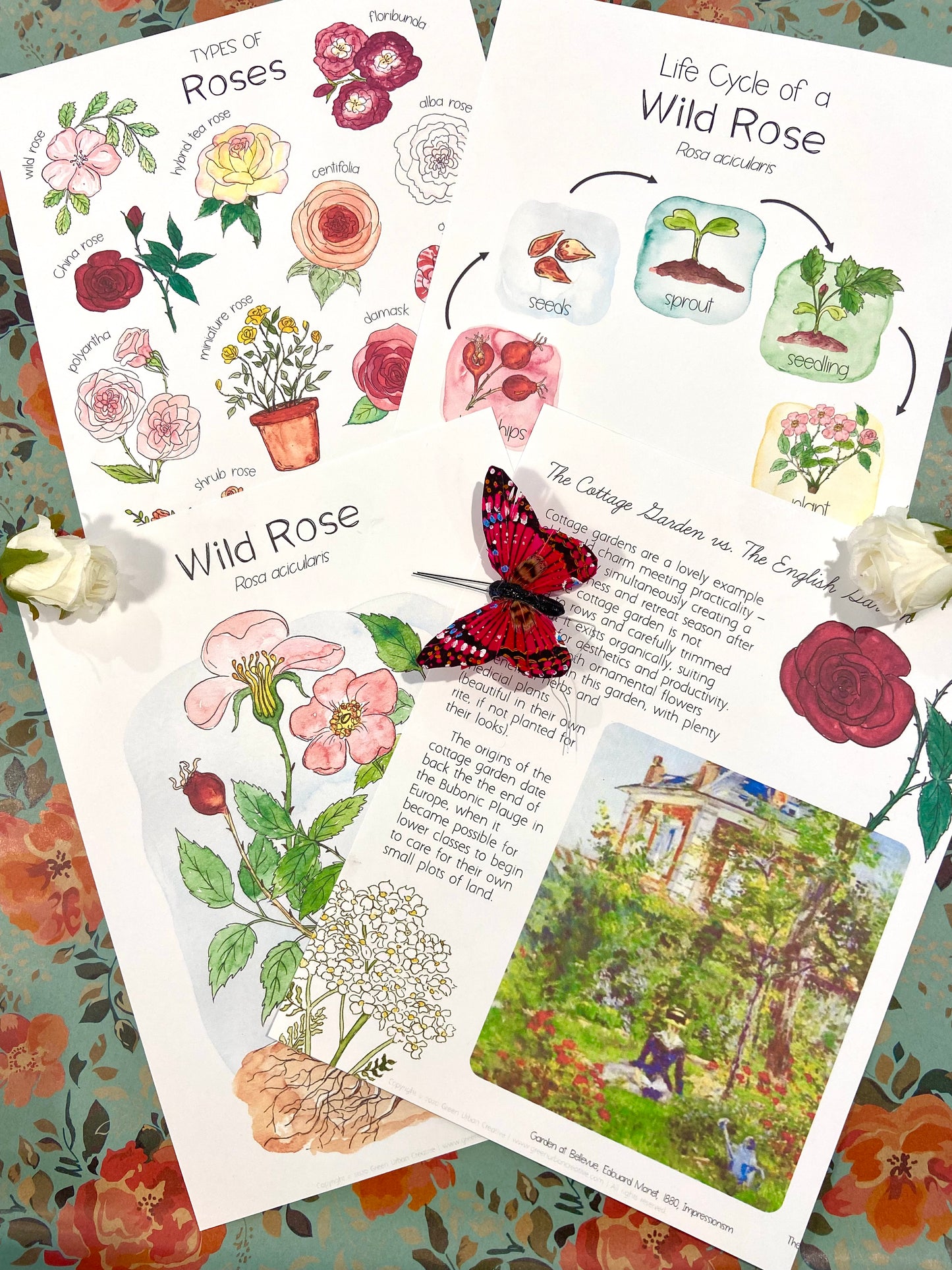 Gardenschooling Edition (The Ultimate Unit Study) (Grades PreK-6) Based on the Secret Garden by Frances Hodgson Burnett