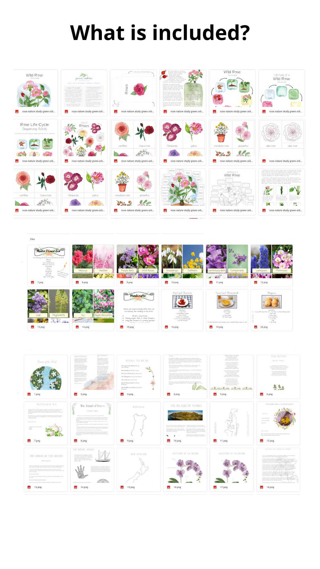 Gardenschooling Edition (The Ultimate Unit Study) (Grades PreK-6) Based on the Secret Garden by Frances Hodgson Burnett
