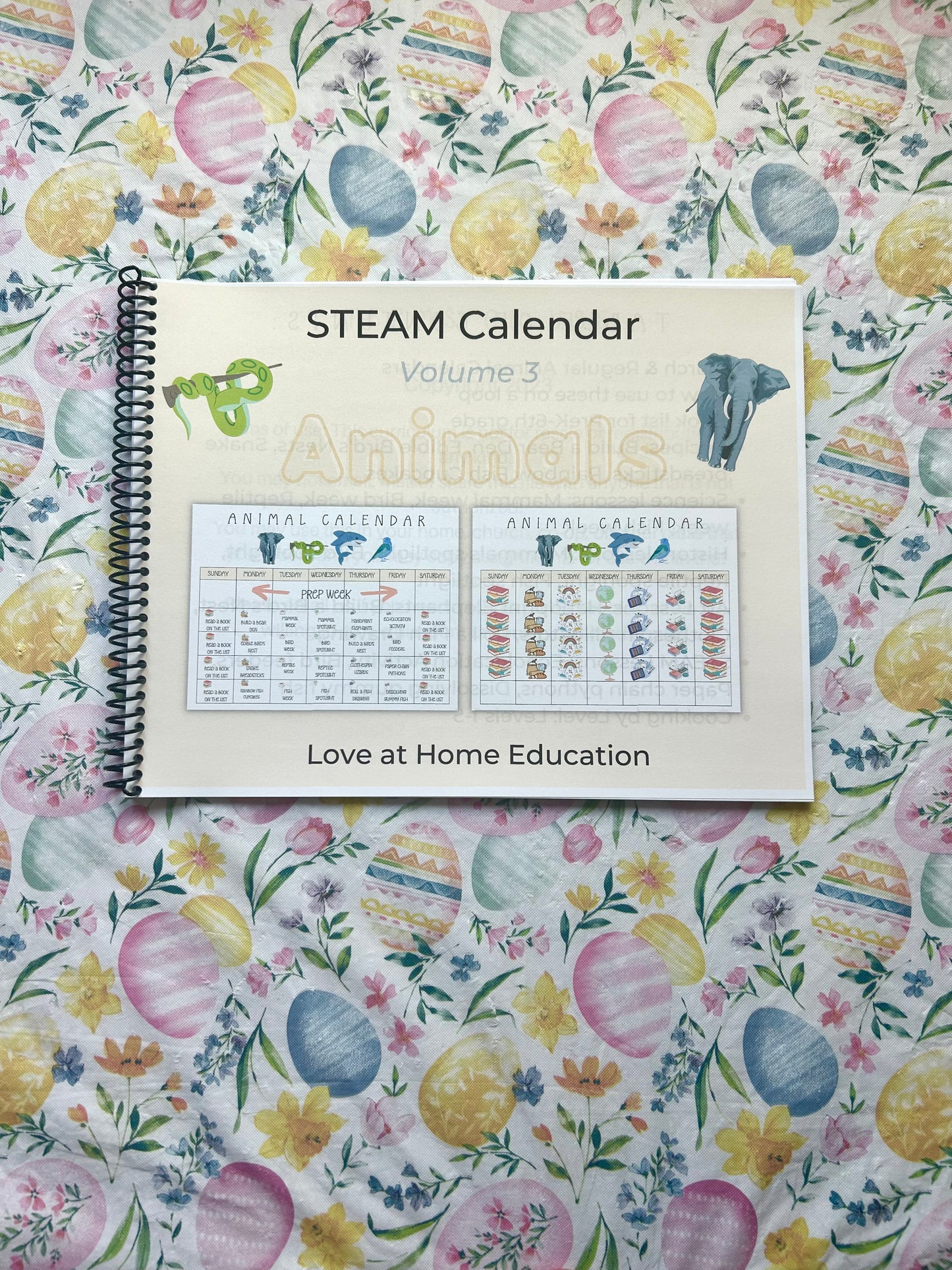 STEAM Calendars- Science Unit Studies K-6