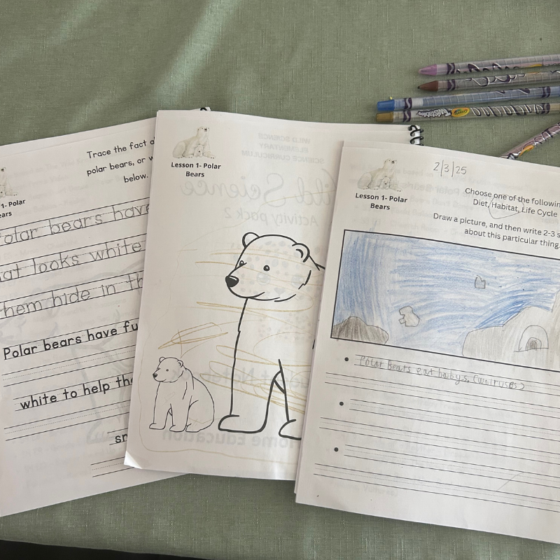Wild Science: Elementary Science Curriculum: Activity Book 1