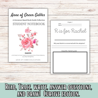 Anne of Green Gables Inspired Book Guides: Manuscript and Cursive
