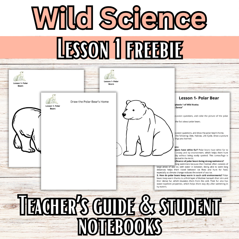 Wild Science 1-3 Bundle: Elementary Science Curriculum: Activity Books (60 Lessons)