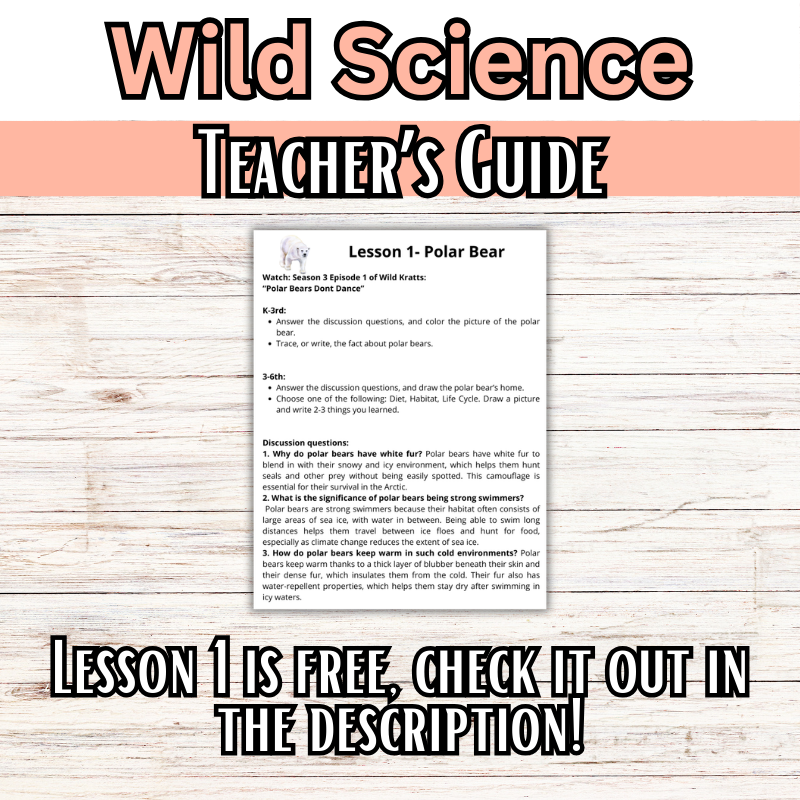 Wild Science 1-3 Bundle: Elementary Science Curriculum: Activity Books (60 Lessons)