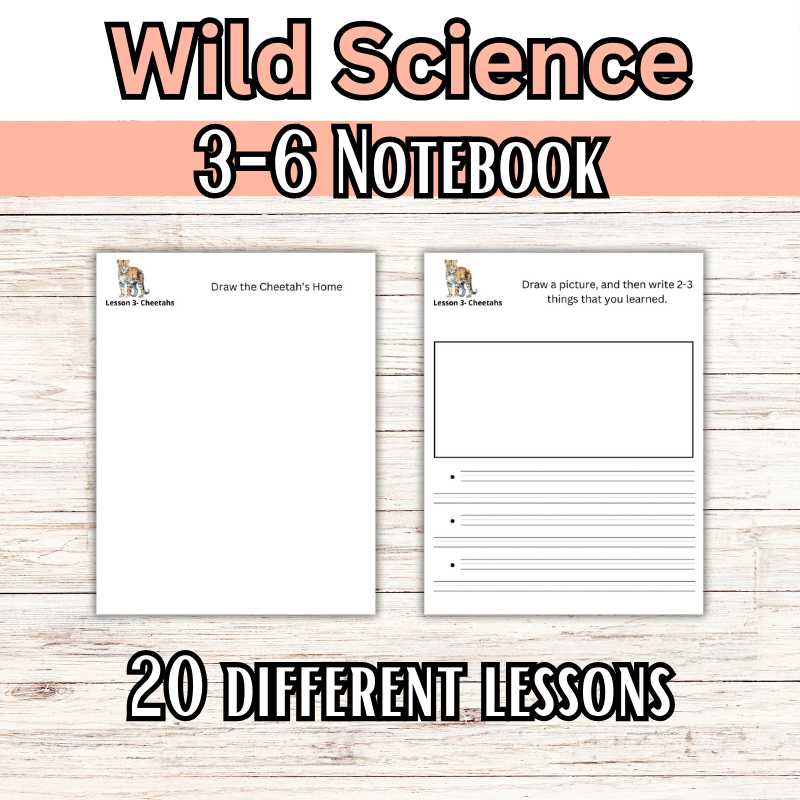 Wild Science: Elementary Science Curriculum: Activity Book 1