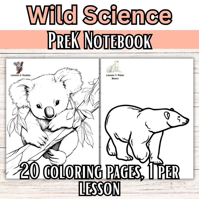 Wild Science 1-3 Bundle: Elementary Science Curriculum: Activity Books (60 Lessons)