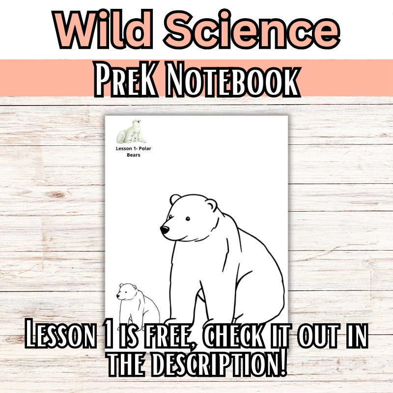 Wild Science 1-3 Bundle: Elementary Science Curriculum: Activity Books (60 Lessons)