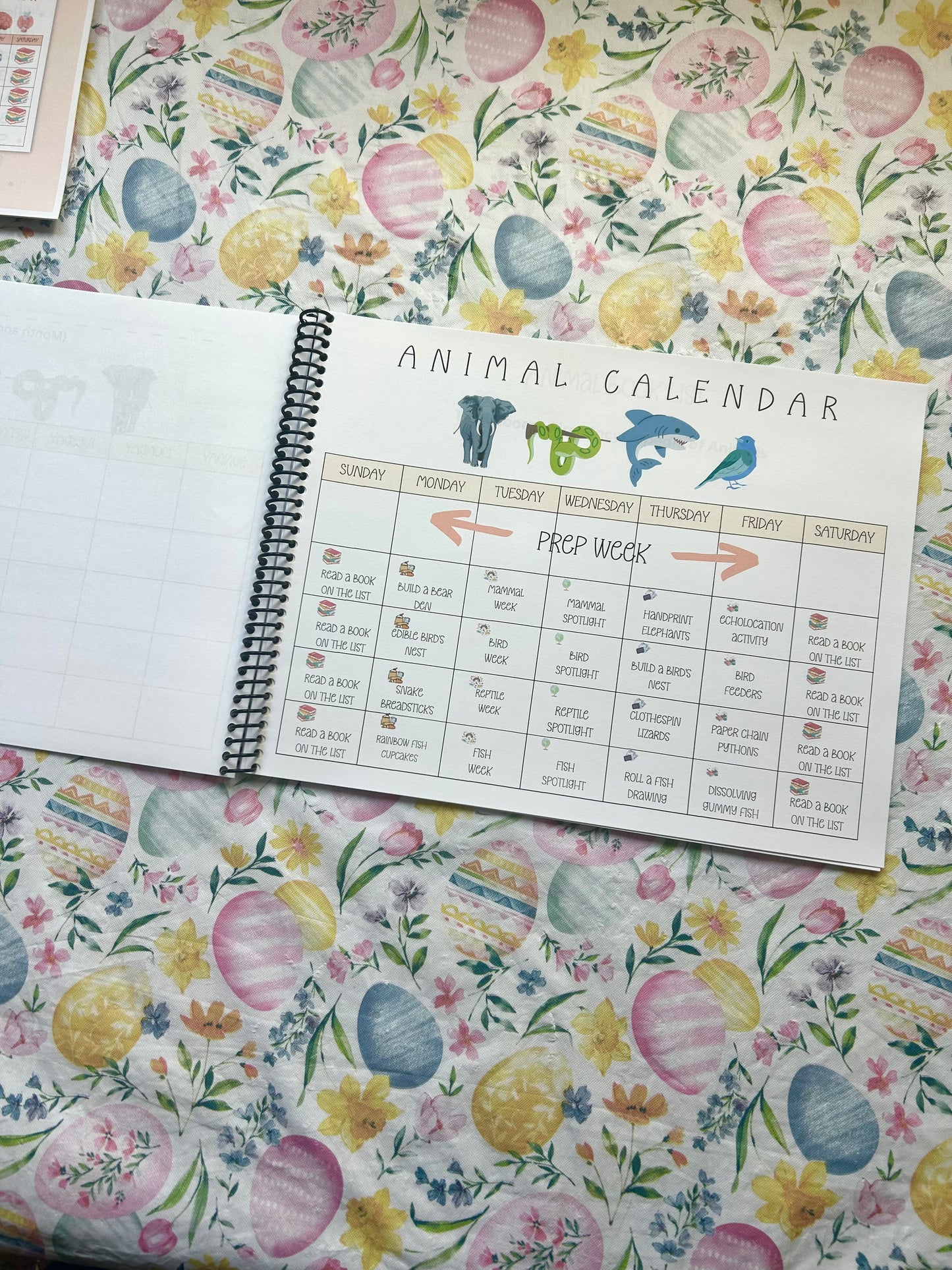 STEAM Calendars- Science Unit Studies K-6
