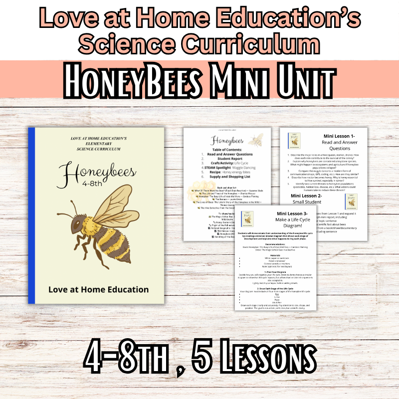 Honeybee Mini Unit Study: 4-8th Grade (Love at Home Education's Science Curriculum)