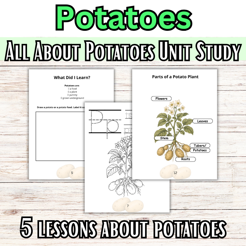 Potato Unit Study: K-4th Grade (5 Lessons)