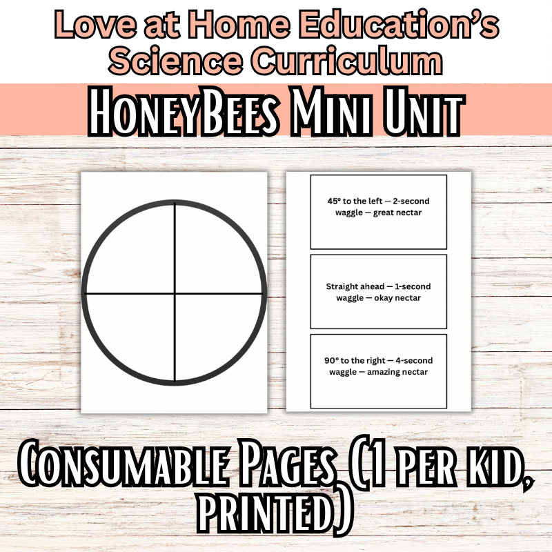 Honeybee Mini Unit Study: 4-8th Grade (Love at Home Education's Science Curriculum)