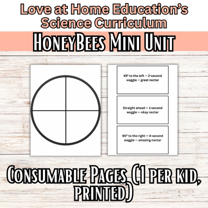 Honeybee Mini Unit Study: 4-8th Grade (Love at Home Education's Science Curriculum)