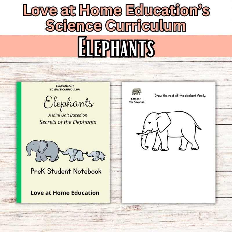 Mini Science Unit: Elephants (Secrets of the Elephants)