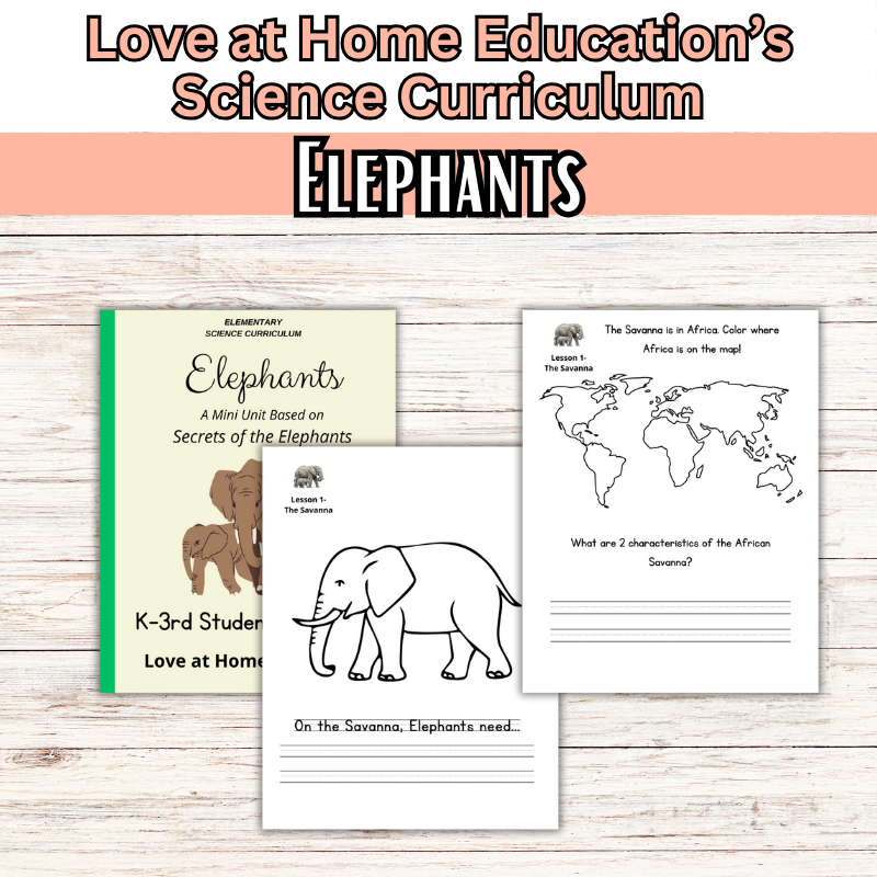 Mini Science Unit: Elephants (Secrets of the Elephants)