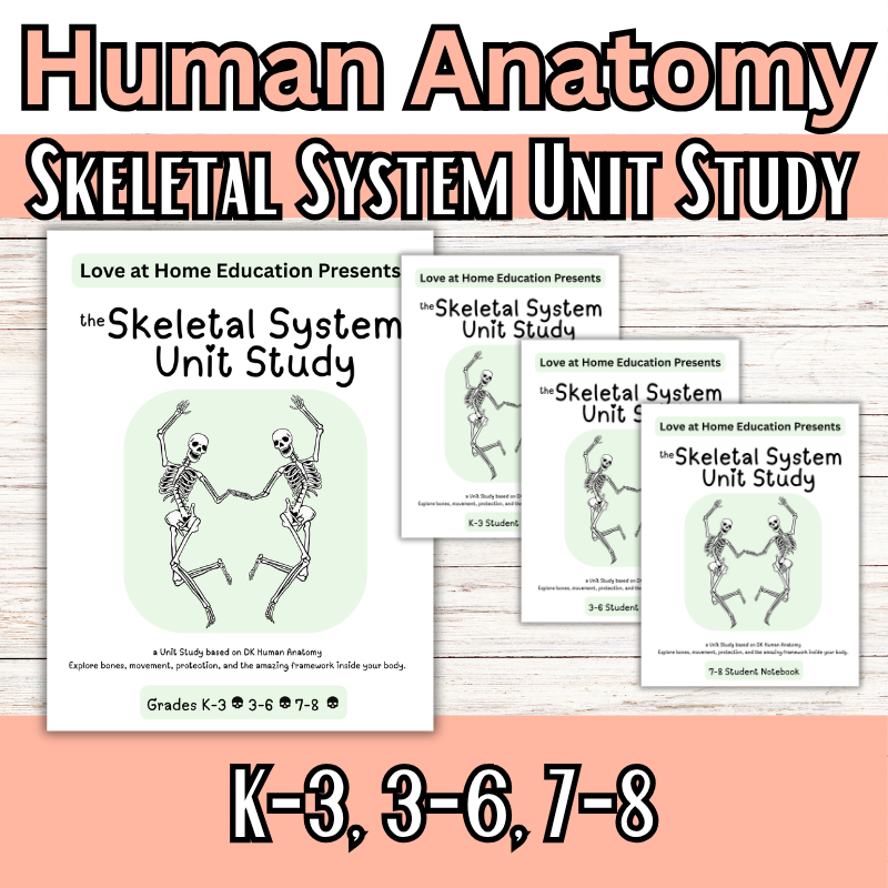 Skeletal System Unit Study (K-8th) DK Human Anatomy – Love at Home ...