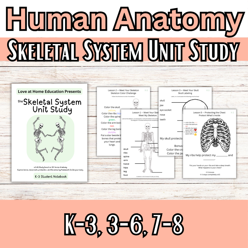 Skeletal System Unit Study (K-8th) DK Human Anatomy