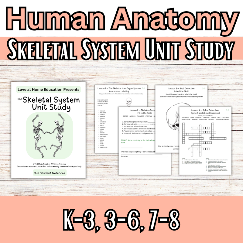 Skeletal System Unit Study (K-8th) DK Human Anatomy