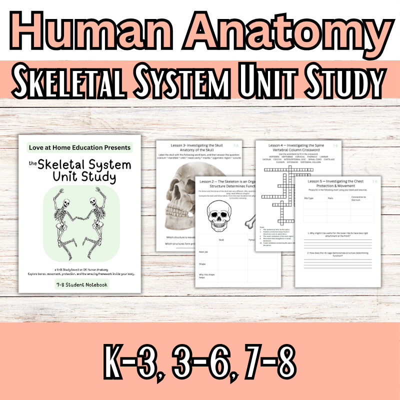 Skeletal System Unit Study (K-8th) DK Human Anatomy