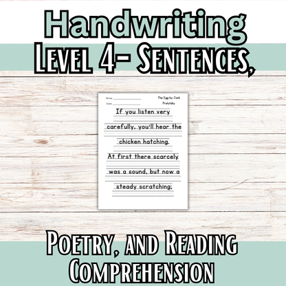 Handwriting Levels 1-4 Bundle: Manuscript