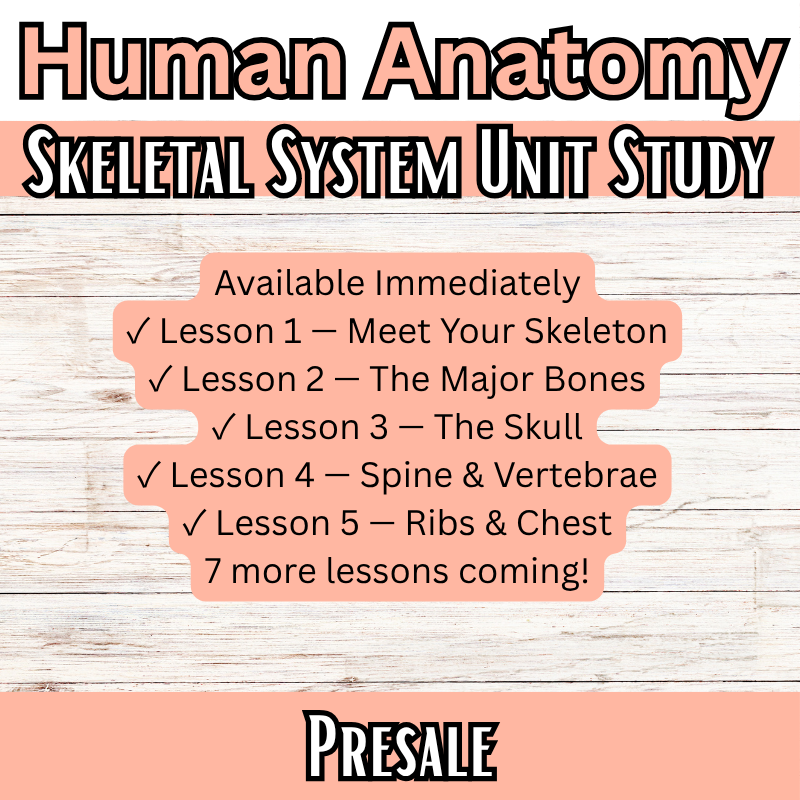 Skeletal System Unit Study (K-8th) DK Human Anatomy