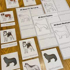 Sled Dogs Edition (The Ultimate Unit Study) (Grades PreK-6) The Call of the Wild by Jack London