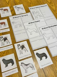 Sled Dogs Edition (The Ultimate Unit Study) (Grades PreK-6) The Call of the Wild by Jack London