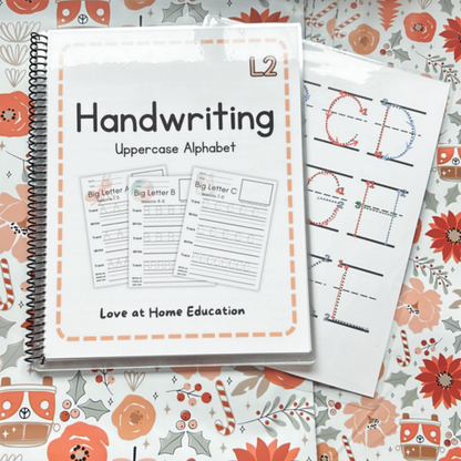 Manuscript Lowercase and Uppercase Letters (Handwriting L2)