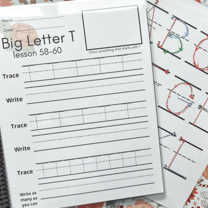 Manuscript Lowercase and Uppercase Letters (Handwriting L2)