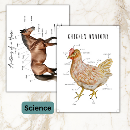 Farmschooling Edition (The Ultimate Unit Study) (Grades PreK-6) Based on Farmer Boy by Laura Ingalls Wilder