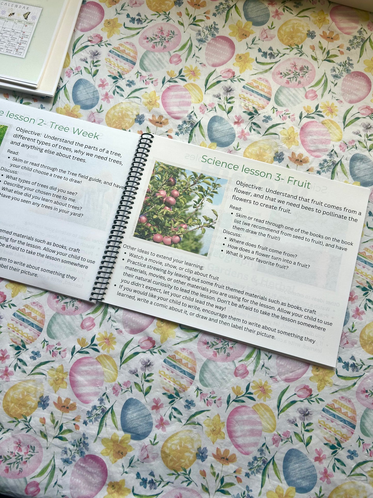 STEAM Calendars- Science Unit Studies K-6