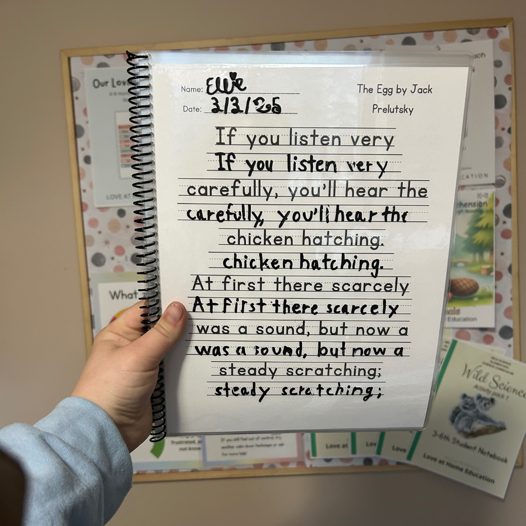 Manuscript Sentences, Poetry, and Reading Comprehension (Handwriting L4)