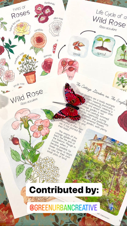 Gardenschooling Edition (The Ultimate Unit Study) (Grades PreK-6) Based on the Secret Garden by Frances Hodgson Burnett