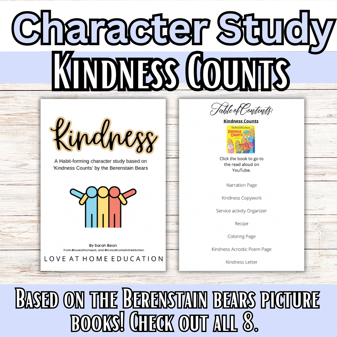 Berenstain Bears Character Studies
