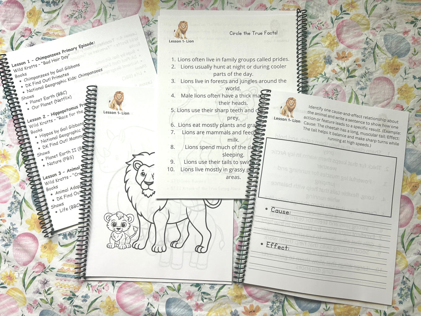 Wild Science: Elementary Science Curriculum: Activity Book 3
