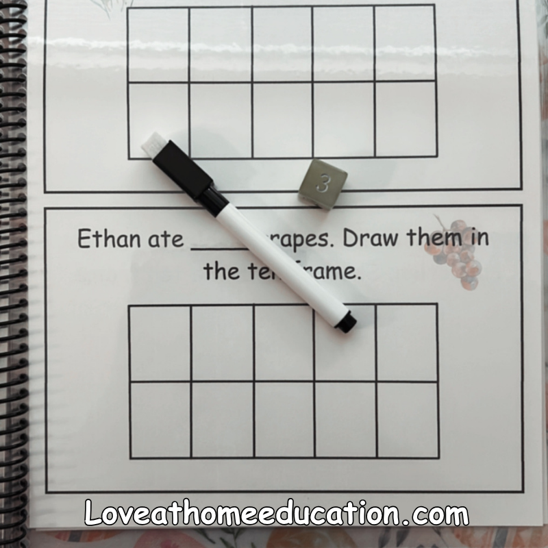 Roll & Solve: Reusable Math Book Bundle