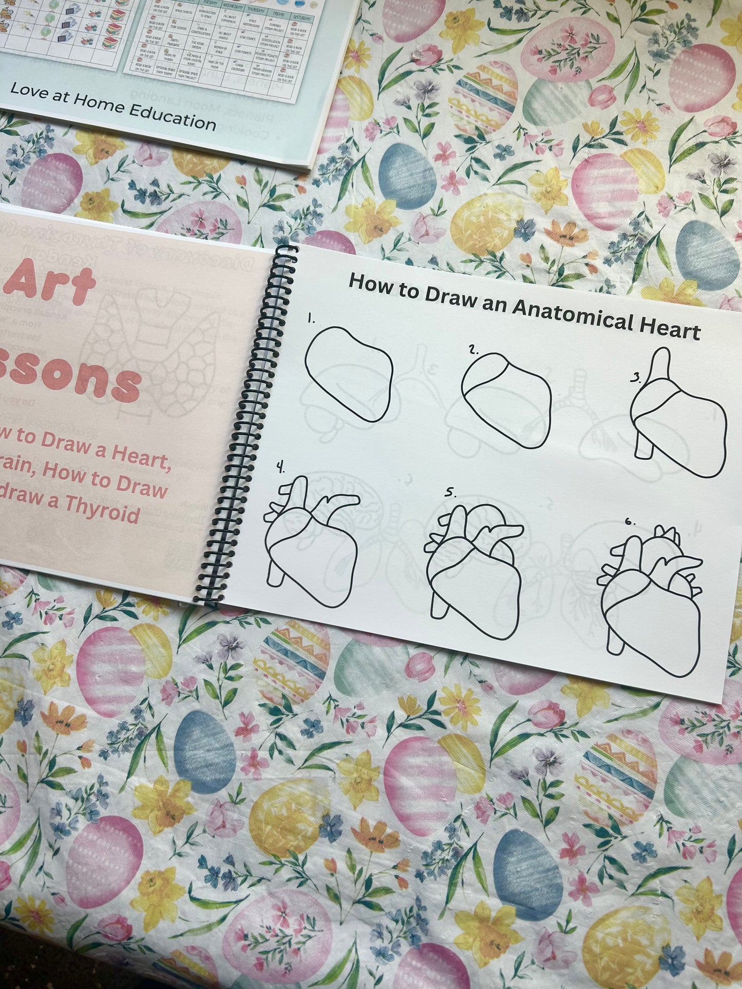 STEAM Calendars- Science Unit Studies K-6