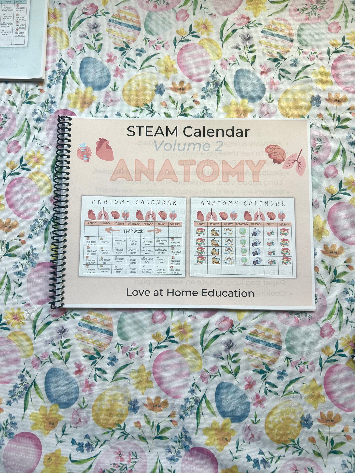STEAM Calendars- Science Unit Studies K-6