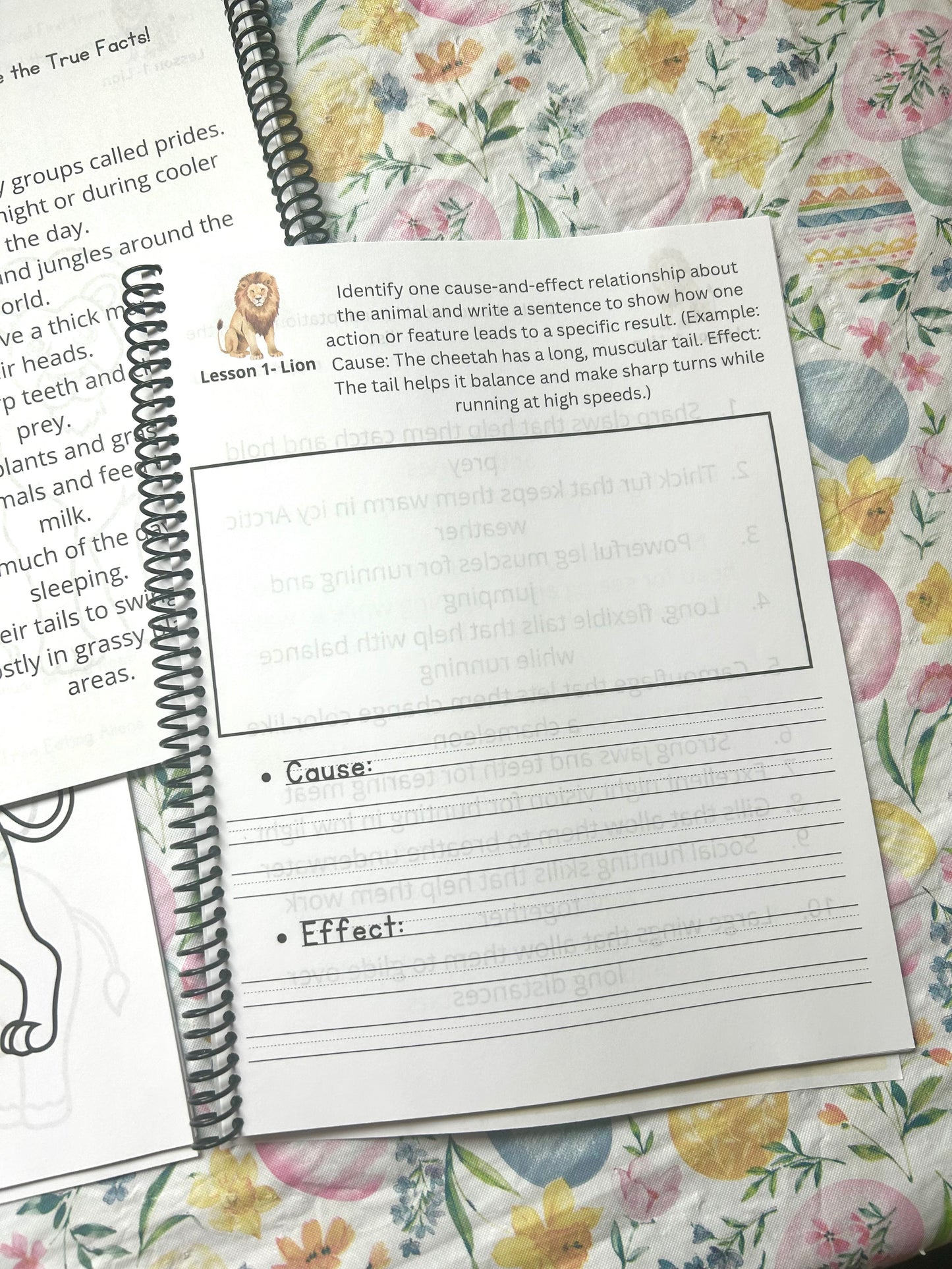 Wild Science: Elementary Science Curriculum: Activity Book 3