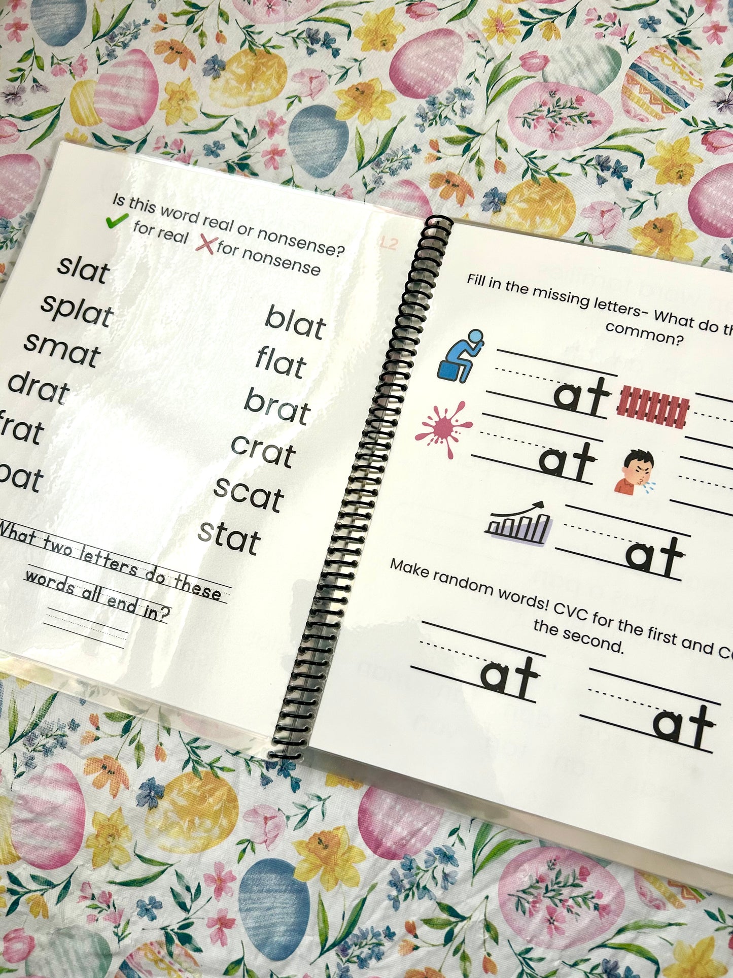 Read and Rhyme: Short a (Vowel CVC Practice)