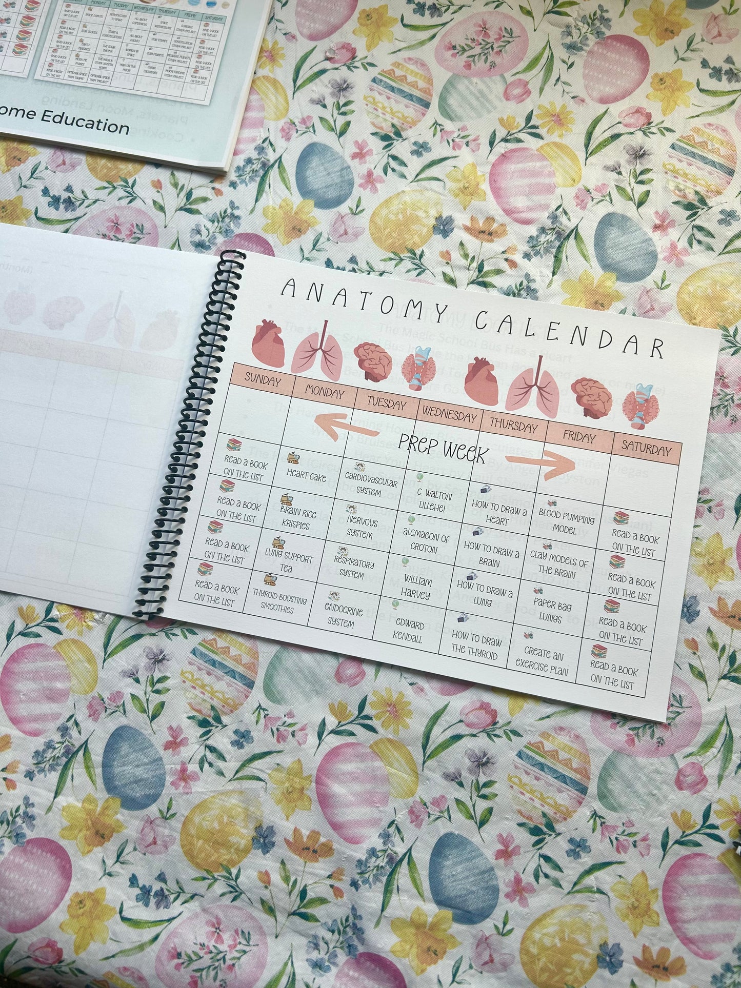 STEAM Calendars- Science Unit Studies K-6