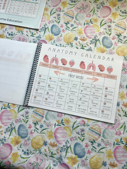 STEAM Calendars- Science Unit Studies K-6