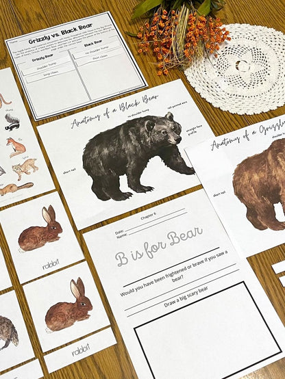 Harvestschooling Edition (The Ultimate Unit Study) (Grades PreK-6) Based on Little House in the Big Woods by Laura Ingalls Wilder