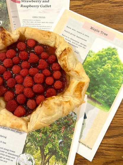 The Ultimate Unit Study- Anne Edition- Novel Study based on Anne of Green Gables- K-6th